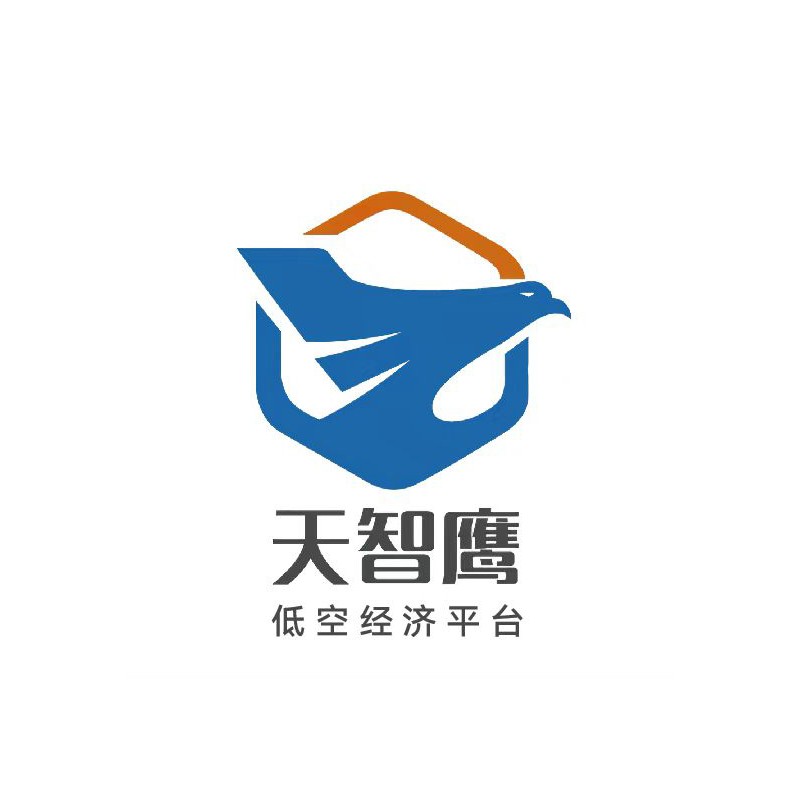 天智鹰
