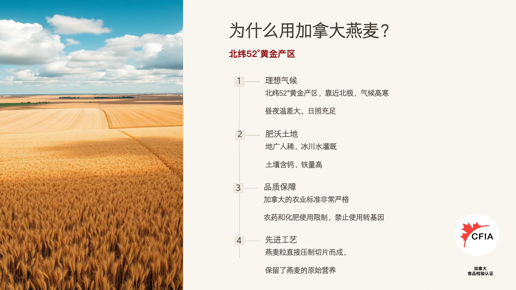 燕麦-7