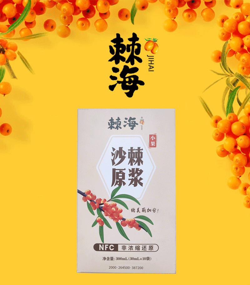 17小果盒装10袋-棘海沙棘原浆详情页2023.11_01