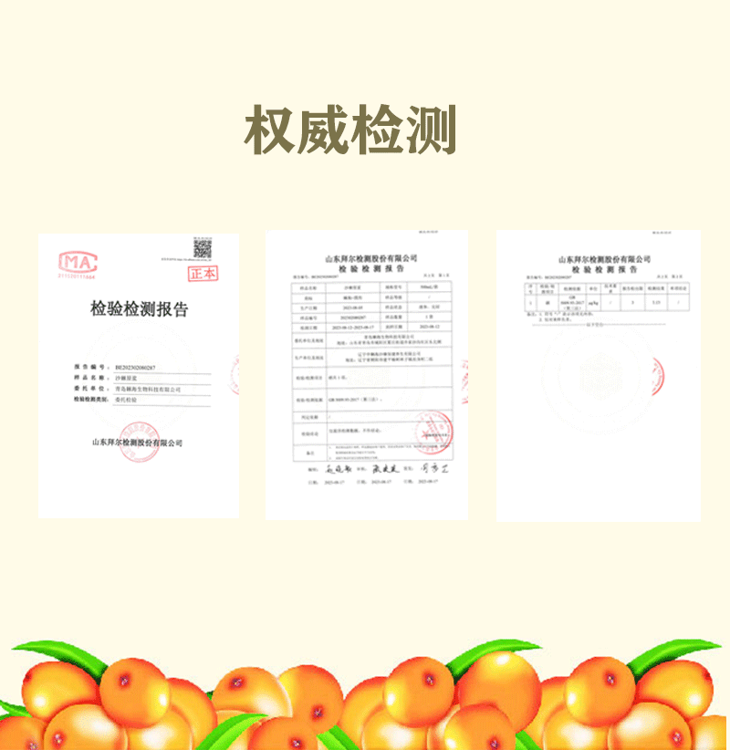 17小果盒装10袋-棘海沙棘原浆详情页2023.11_09