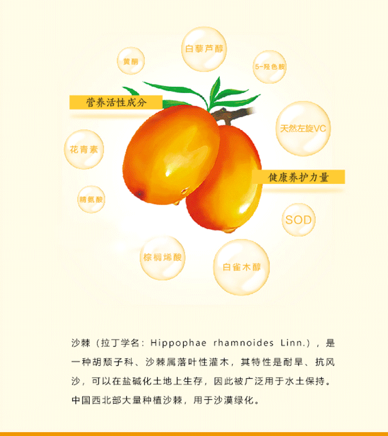 698元团共享沙棘树套餐-棘海沙棘原浆详情页2023.11_04