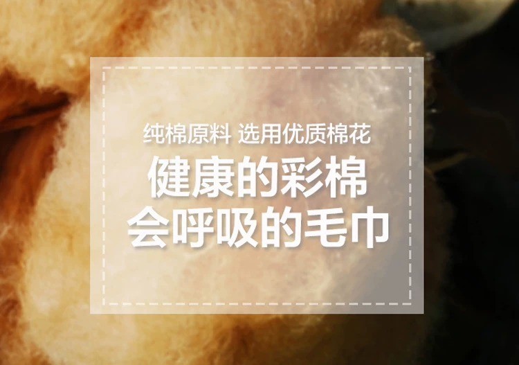 微信图片_2026-01-05_141835_597