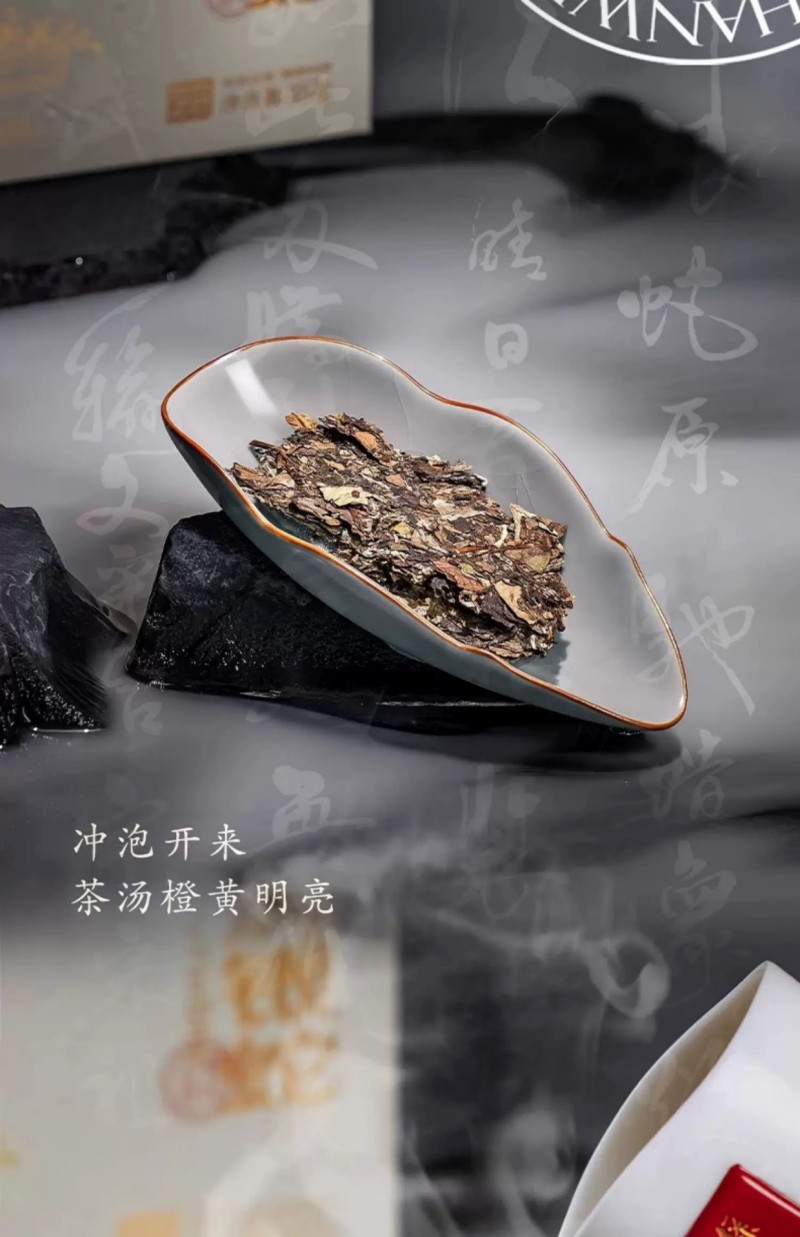 微信图片_2026-01-05_113248_589