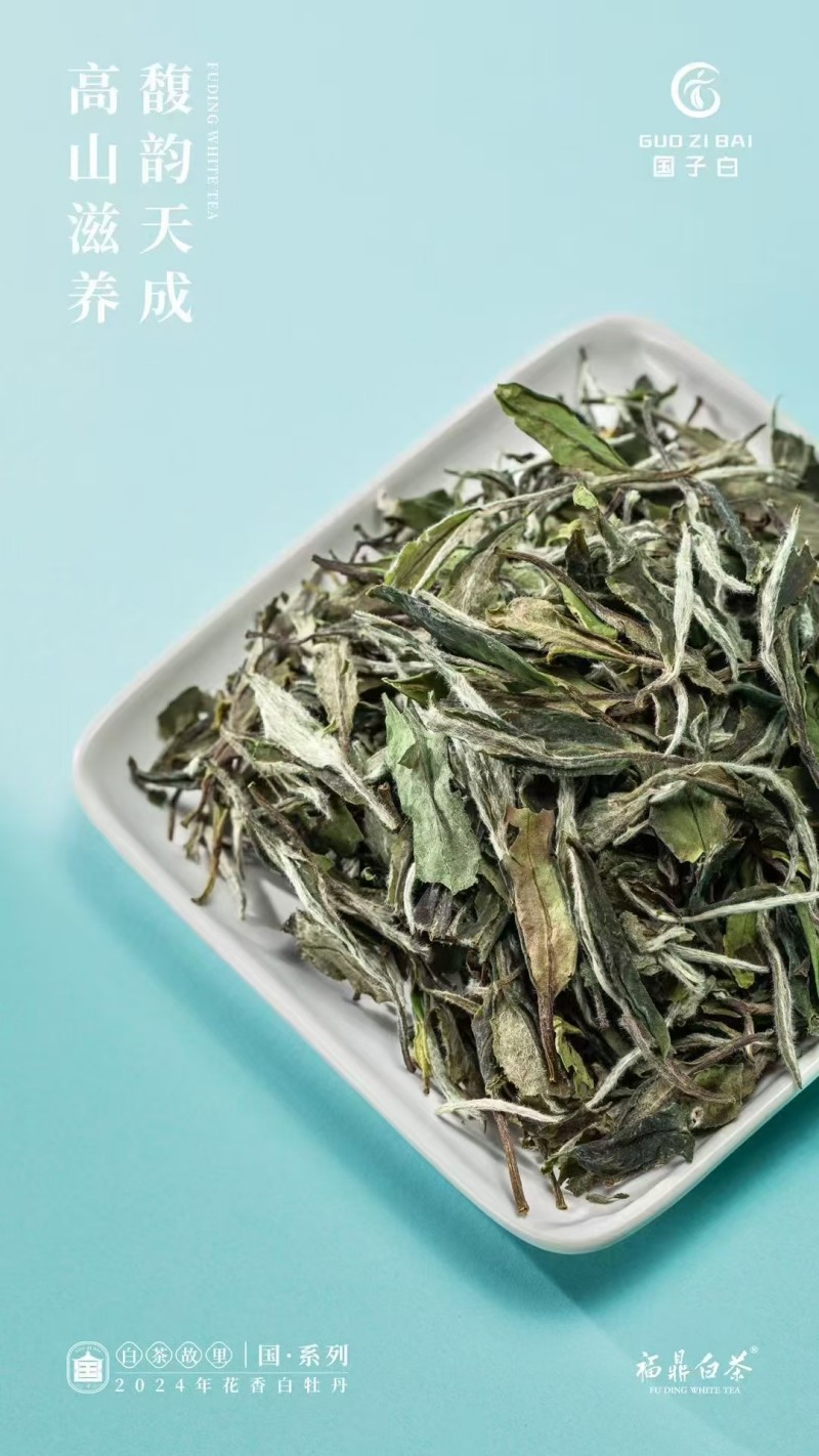 微信图片_2026-01-05_113516_621