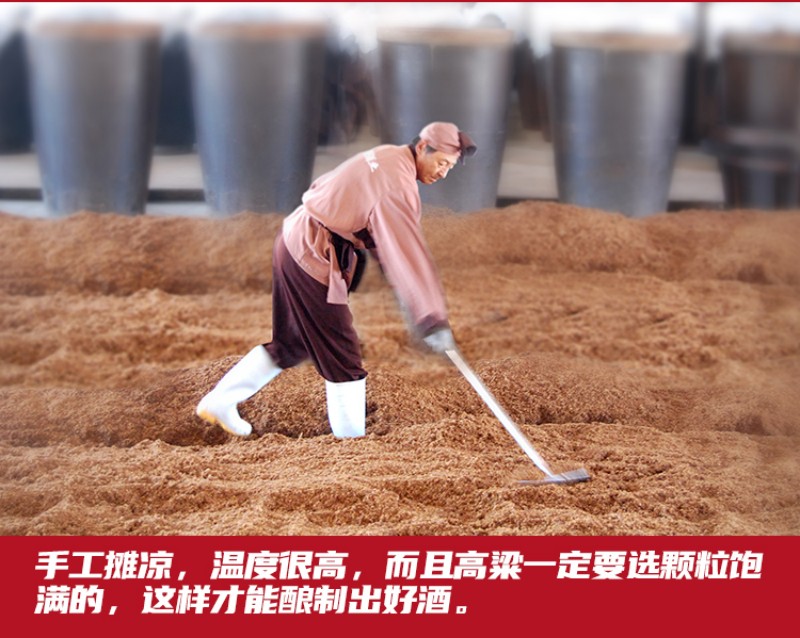 微信图片_2026-01-05_114441_141