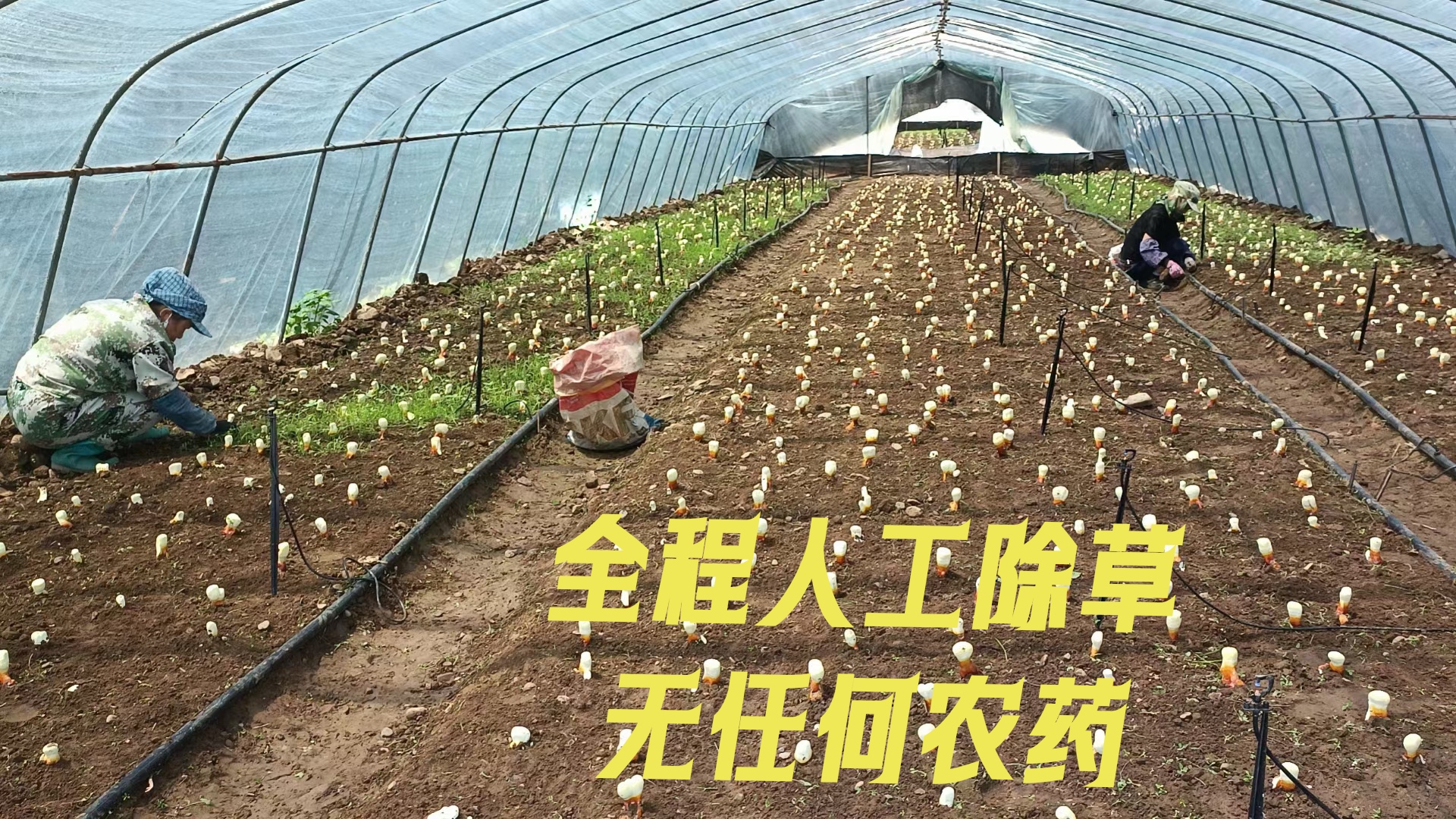 微信图片_2026-01-06_152421_571