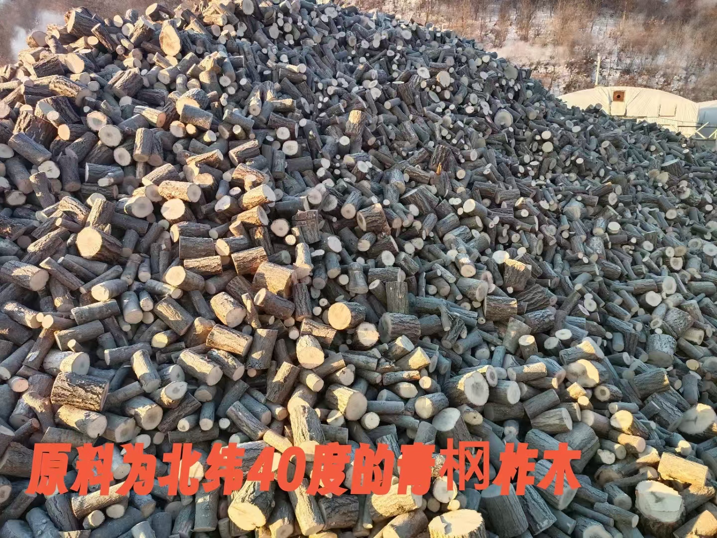 微信图片_2026-01-06_152415_531