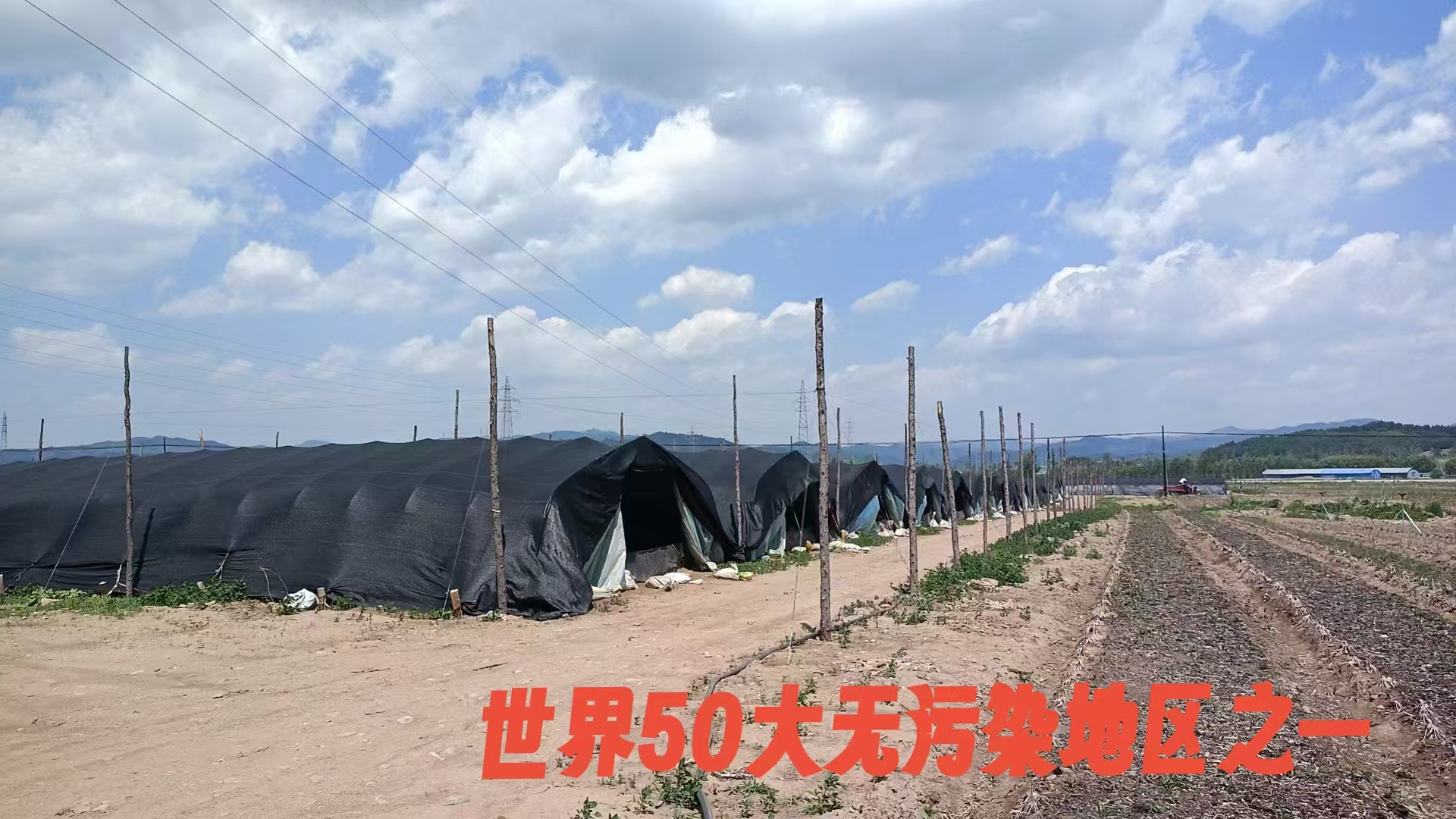 微信图片_2026-01-06_152412_563