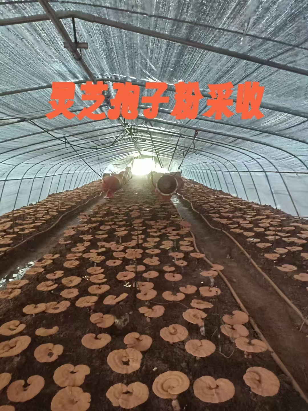 微信图片_2026-01-06_152424_519