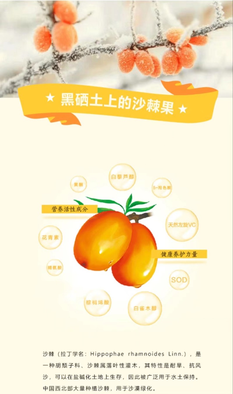 微信图片_2026-01-06_160542_968