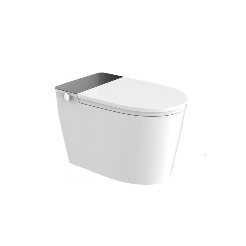 浪舰智能坐便器KQZY009A