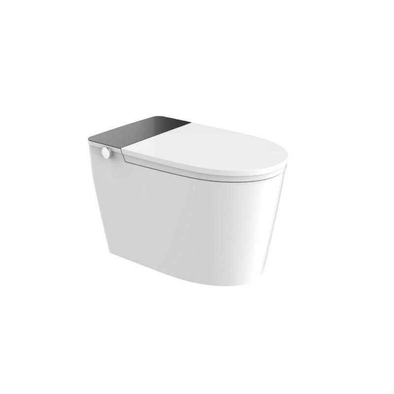 浪舰智能坐便器KQZY010A