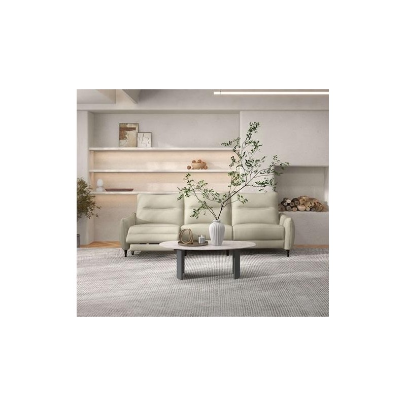 顾家功能皮沙发9019