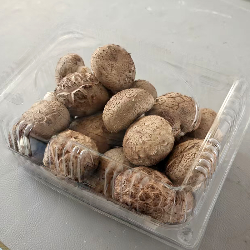 微信图片_20260228100810_127_40 拷贝