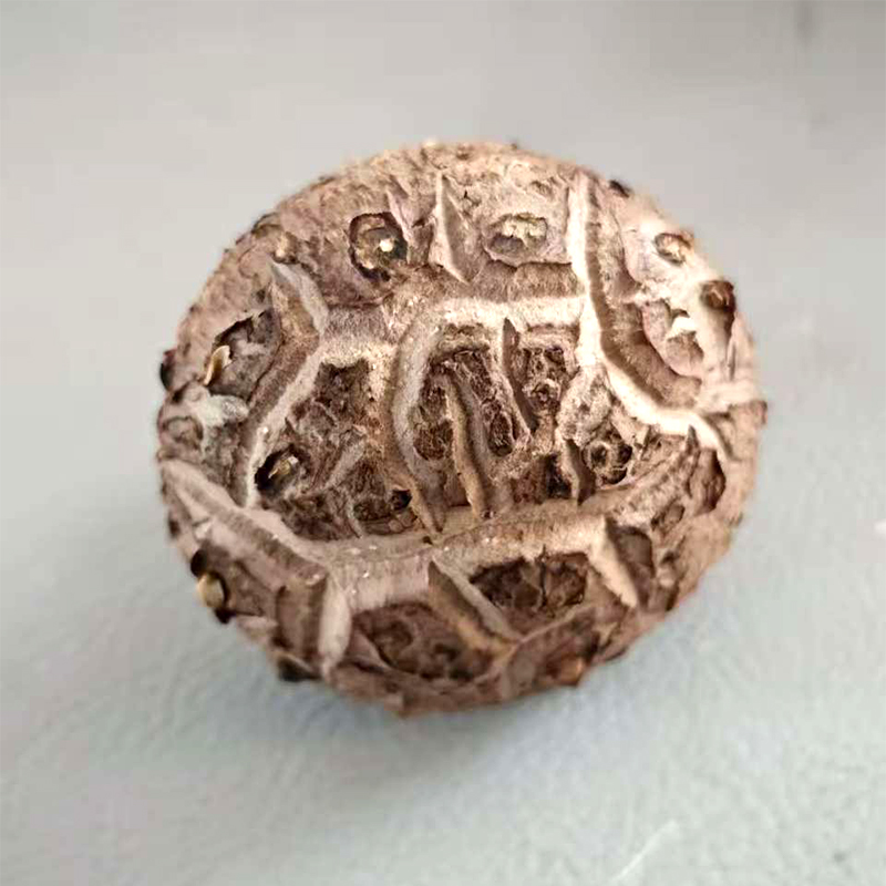 微信图片_20260228100809_126_40 拷贝