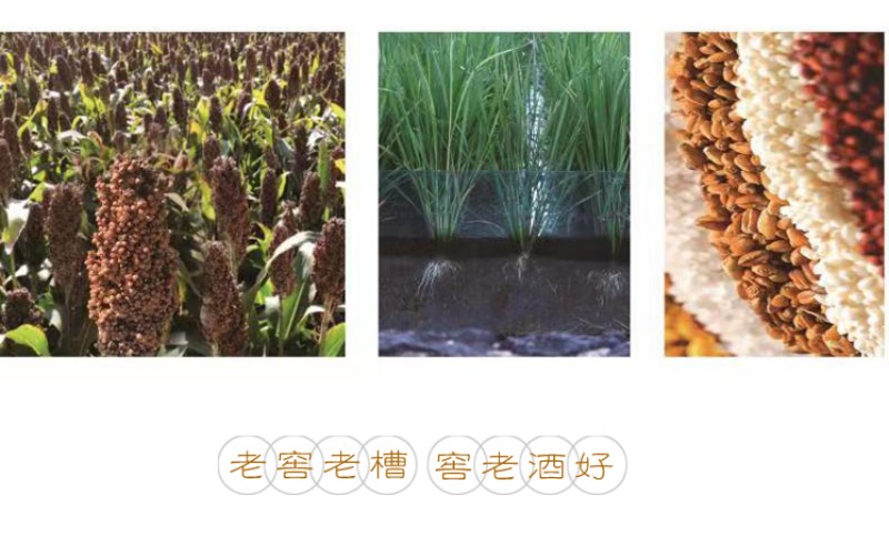 微信图片_2026-01-05_114637_131