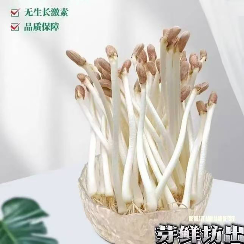 微信图片_20260228100812_129_40